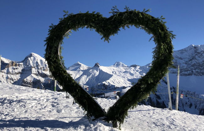 Sunnegruess - Foto 23