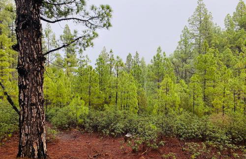 LOFT EL PATIO - Foto 26