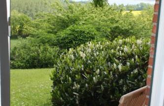 Reethus Stöfs - Foto 37