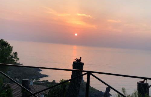 Un Capriccio - Ginepro - Foto 51