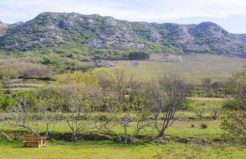 Apartments Ena & Leona - Foto 64