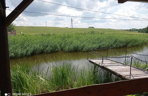 Nad żabim stawem - Foto 28