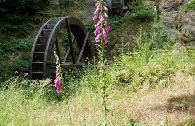Holiday Home Schloßblick - Foto 48
