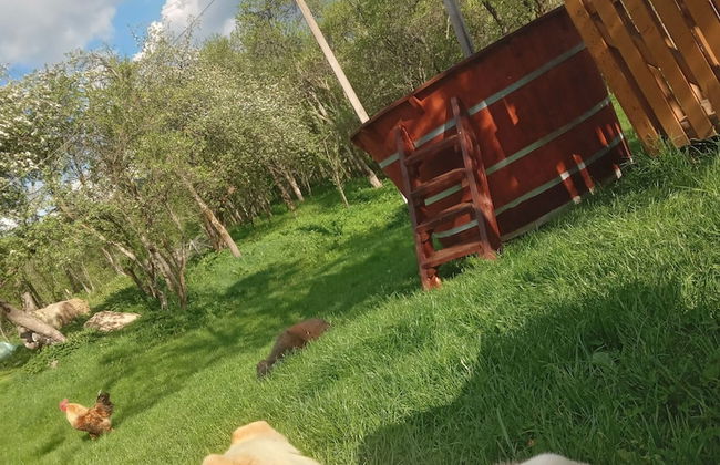 Room in Guest Room - Cozy Rural Retreat in Roşia Montana - Foto 77