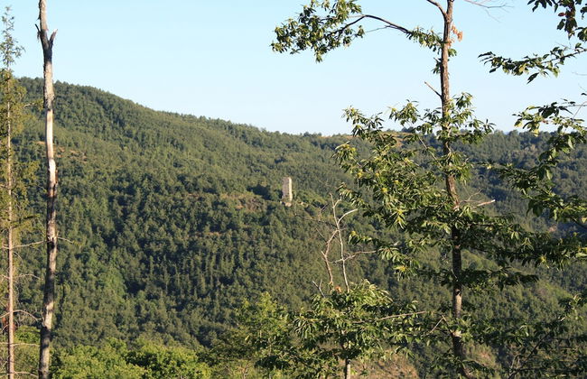 Farmhouse in Umbria Near Palazzo Bourbon - Foto 39