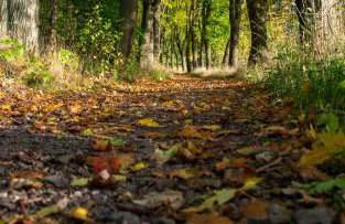 Apartament pod Stożkiem - Foto 15