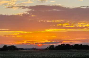 Zoila's Rest - A self-contained studio - Foto 15