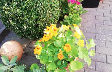 Ferienwohnung Einbeck FeWo B Nolte - Photo 75