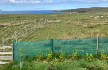 Seaview luxury pod - Photo 30