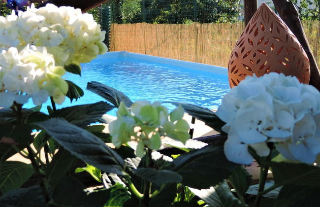 Villa Tina in Sant Agnello - Foto 33