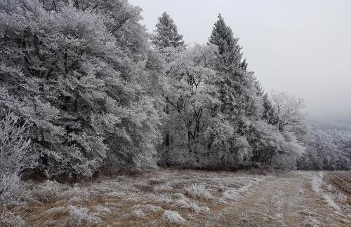 Ferienwohnung FERRUM - Foto 41