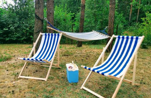 Kajaki wino i śpiew - domek z sauną w otoczeniu lasów i sąsiedztwie zalewu - Foto 8