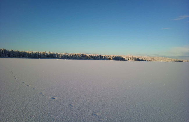 Aurora Colosseum Trip - Foto 2