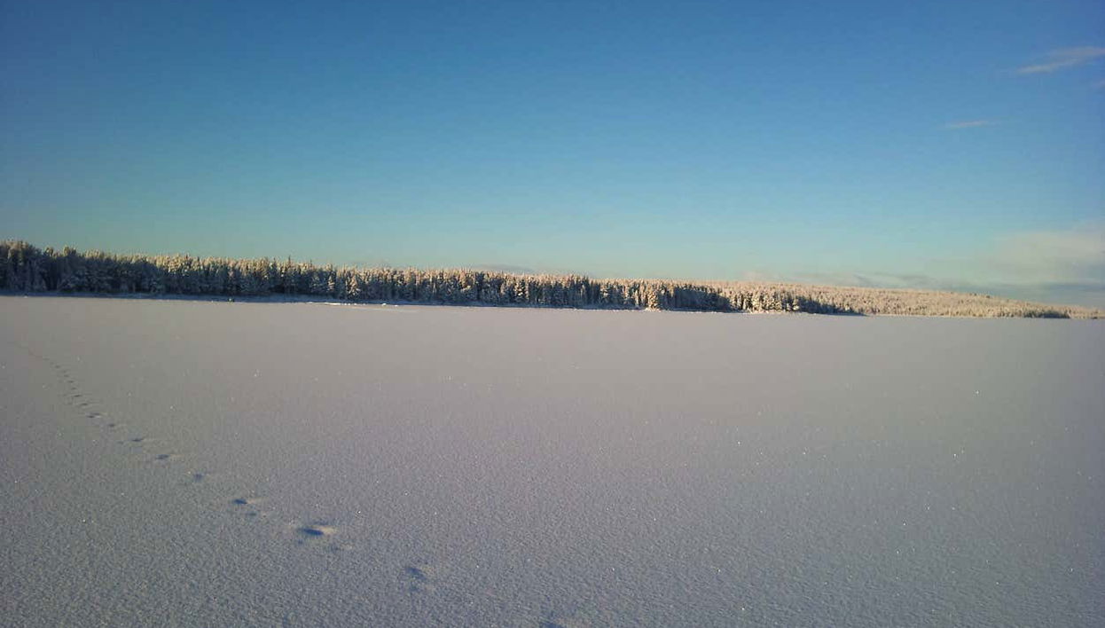 A trip to the Aurora Colosseum