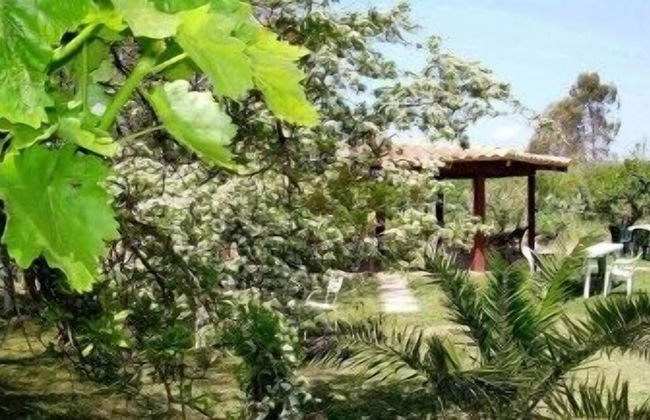 Su Leunaxiu - Foto 57