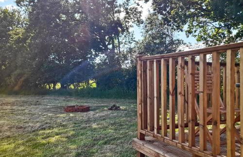 Badgers - Uk46750 - Foto 12