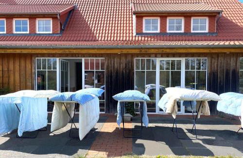 Fewo Horst 4 ocker - Foto 6