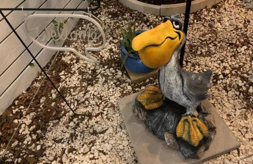 St Pete Modern Retro Oasis - Foto 15