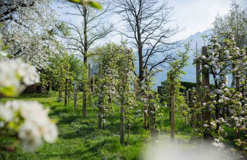 Villa Ladurner - Foto 26