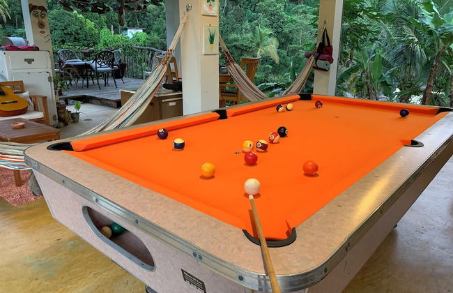 El Yunque Rainforest - Photo 27