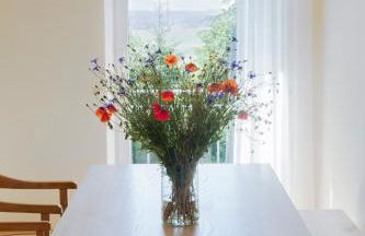 Landhaus 3 Birken - Foto 6