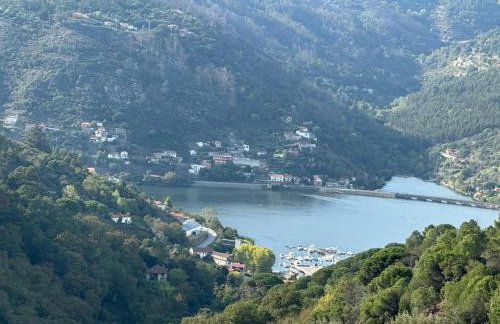 Casa Loureiro - Vista Rio Douro - Foto 30