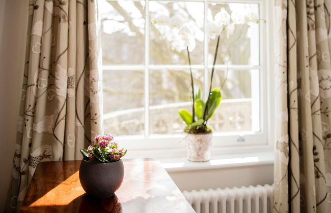 Beech House - Foto 14