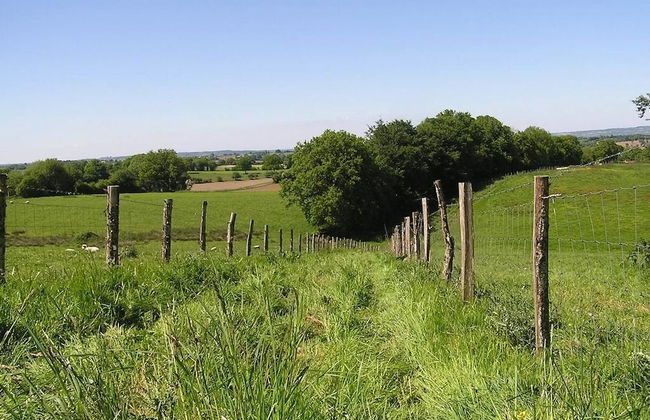 Cabane dans les Arbres - Tree House - Foto 17