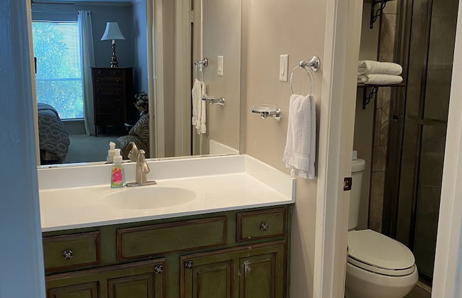 Houston Med Center/NRG Area 2B/2B All Inclusive - Foto 24