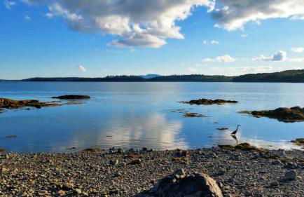 Pine and Sea Beach Retreat - Photo 41