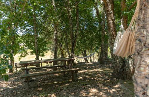 Atlantic Nest Poiares - Foto 47