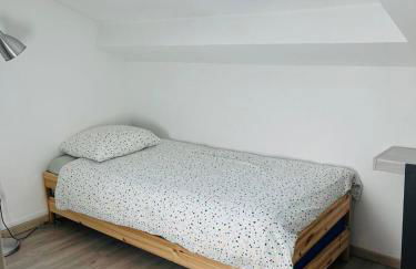 Bordeaux Centre T2 Duplex 65m Hospital Pellegrin CHU - Foto 19