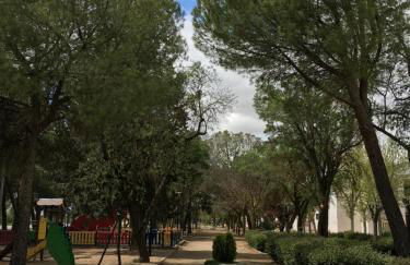 Amor Sin Fin - Foto 46