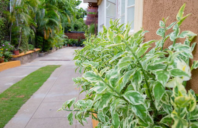 Centrally Located Guest Apartments - Foto 23