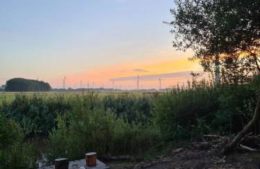 Die Sonnenblume - Foto 16