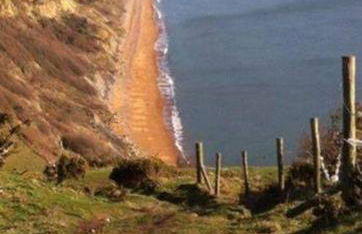 Strongate Cottage Rural Retreat - near Bridport & Jurassic Coastline - Photo 40