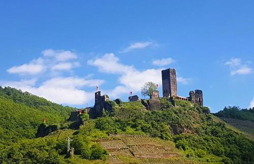 Fewo Himmelblau - Foto 36