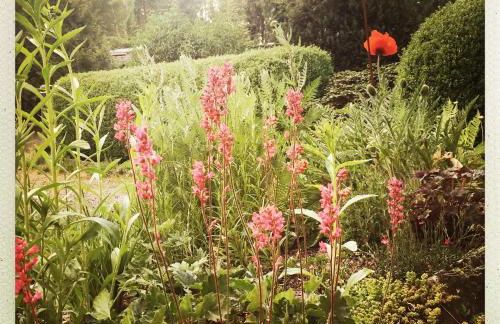 Gelbes Haus bei Mardorf am Steinhuder Meer - Foto 22
