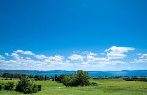 Poderaccio Agri Relais Apartments & Restaurant - Foto 47