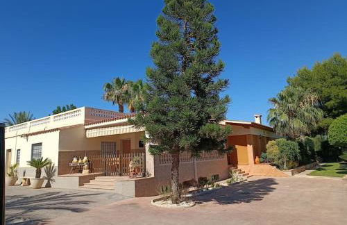 Elche Alicante ideal familias Piscina Barbacoa - Foto 32