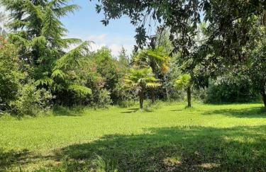 Alloggio a Sant Erasmo Venezia - Foto 9