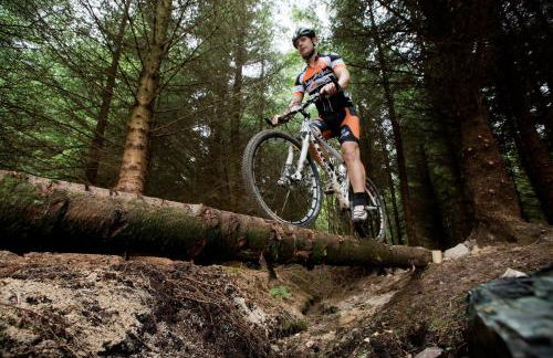 Blessingbourne Cottages & Apartments - Foto 124