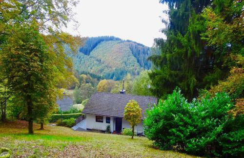 Schöne Aussicht am Eifelsteig - Foto 29