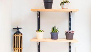 Jungle Studio - 2P à 4P -Henriville - Foto 4