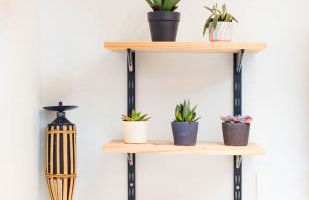 Jungle Studio - 2P à 4P -Henriville - Foto 4