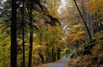 Refúgio d’Aldeia da Serra - Foto 28