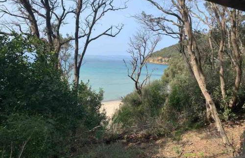 Agriturismo Il Sorbino - Appartamento da Cocca - Foto 28