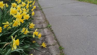 Urlaubshof-Boie - Foto 5, Garden