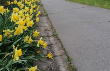 Urlaubshof-Boie - Foto 5