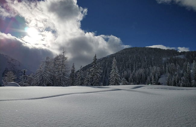 Mascherhof - Foto 36